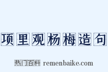 项里观杨梅造句是什么意思的图片